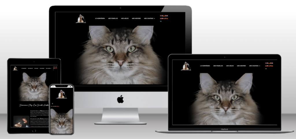 Site internet Chatterie des Grands Aristos
