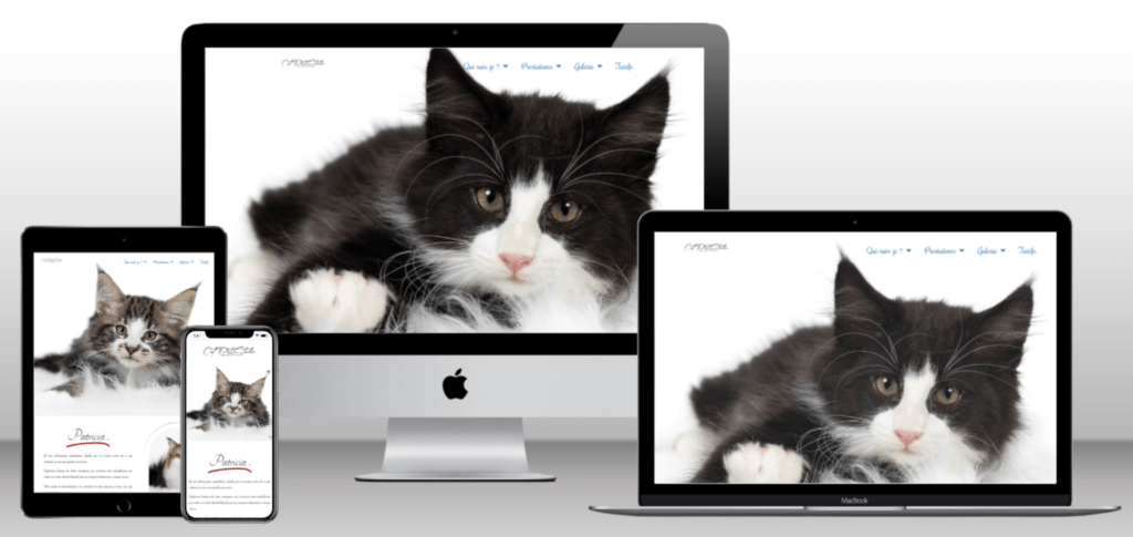Site internet Cats Pat Studio