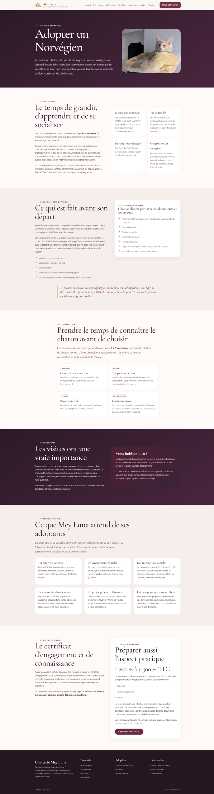 Nouvelle page Adopter un Norvégien de la Chatterie Mey Luna