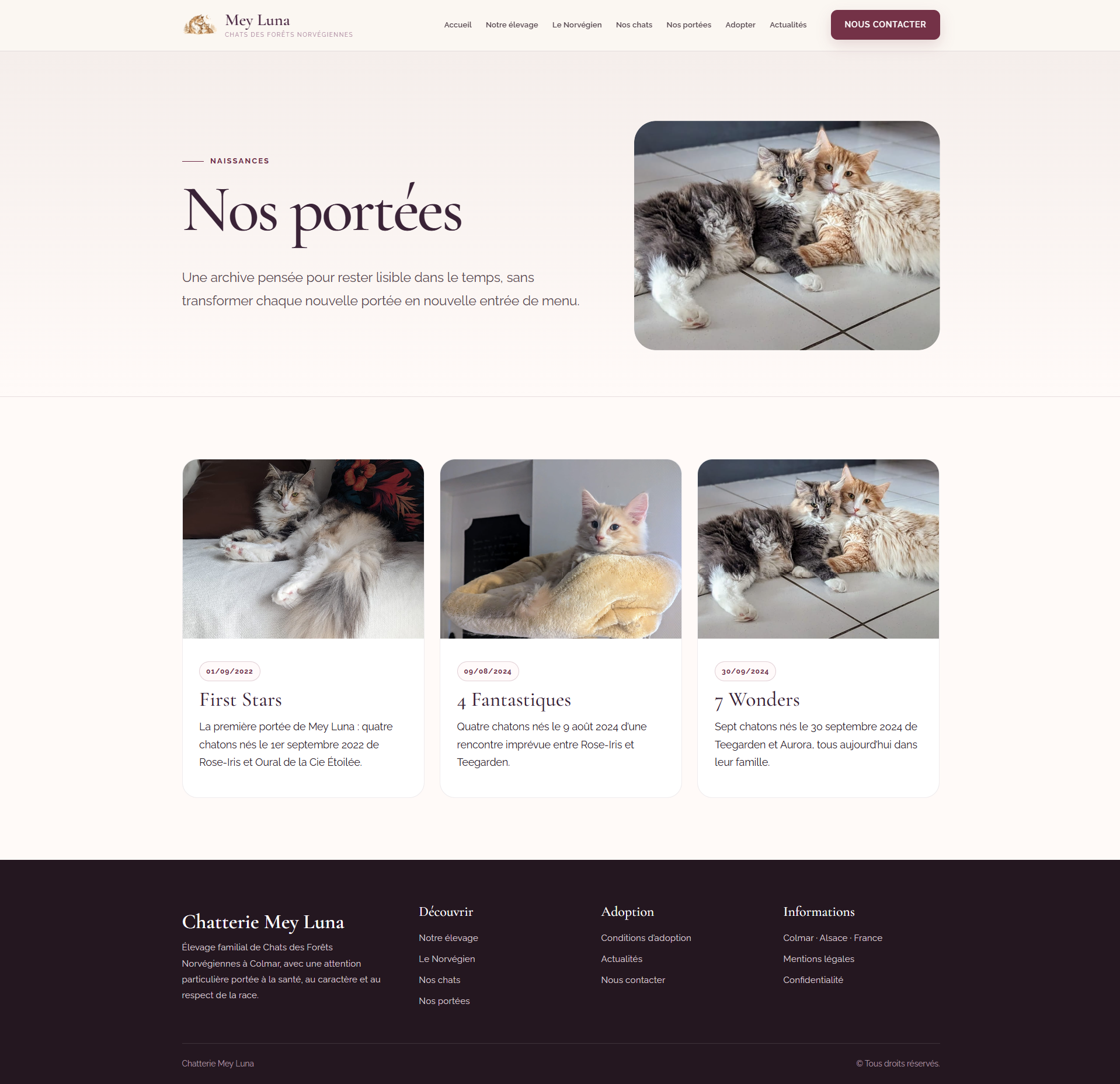 Nouvelle page Nos portées de la Chatterie Mey Luna