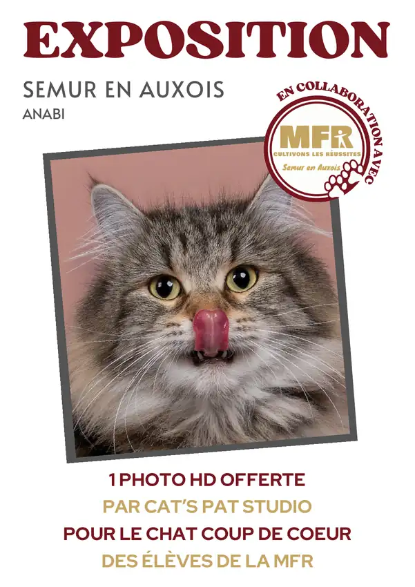 Affiche Chat coup de cœur de Cat’s Pat Studio conçue par Web Design Concepts