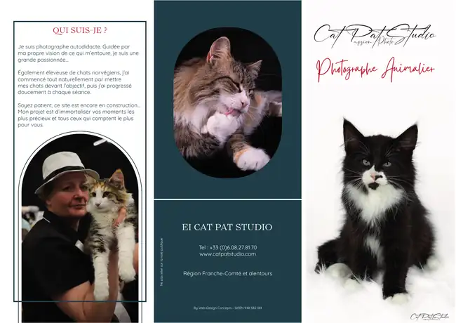 Dépliant 3 volets Cat’s Pat Studio conçu par Web Design Concepts