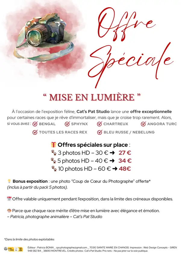 Affiche promotionnelle Mise en lumière de Cat’s Pat Studio conçue par Web Design Concepts
