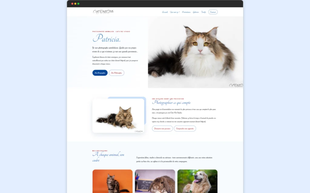 Site internet Cats Pat Studio