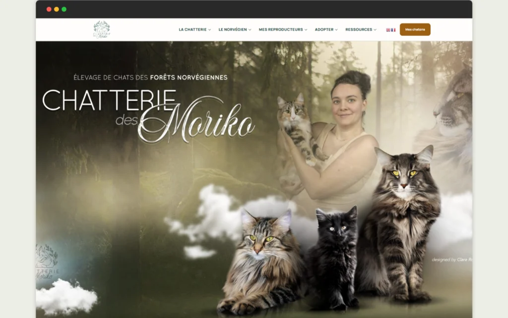 Site internet Chatterie des Moriko
